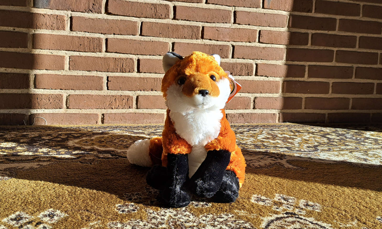 Fox plush in hard lighting
